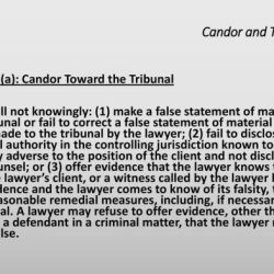 Rule 3.3 candor toward the tribunal