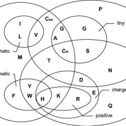 Bases acids creately venn