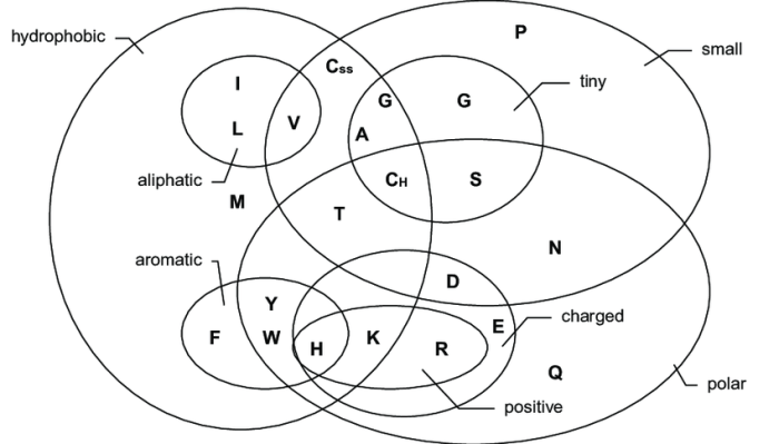 Bases acids creately venn