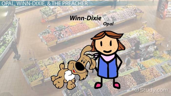 Winn dixie