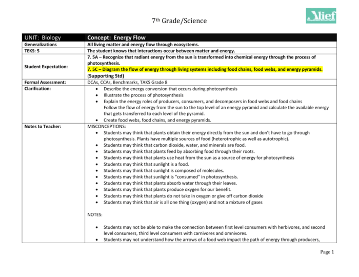 Chapter 4 lesson 2 energy flow in ecosystems answer key