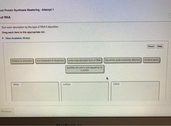 Sort each description by the type of rna it describes.