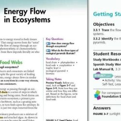 Energy ecosystems flow answers work chapter worksheet xcel consumers answer key cycling matter excel db next