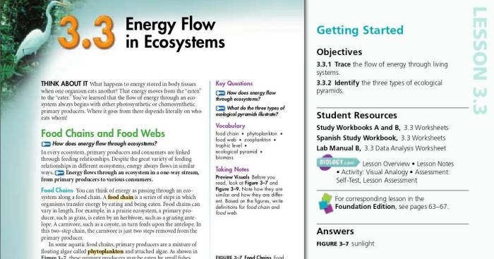 Energy ecosystems flow answers work chapter worksheet xcel consumers answer key cycling matter excel db next