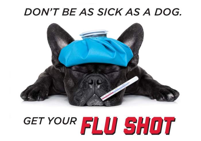 Suppose the university health center receives flu vaccinations