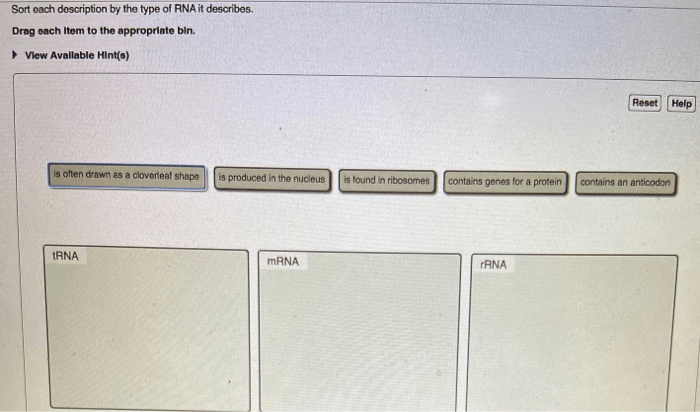 Sort each description by the type of rna it describes.