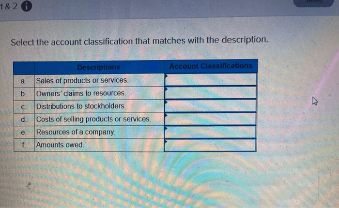 Select the account classification that matches with the description.