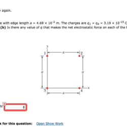 In the figure the four particles form a square