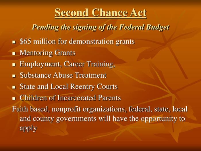 Second chance act community-based reentry program