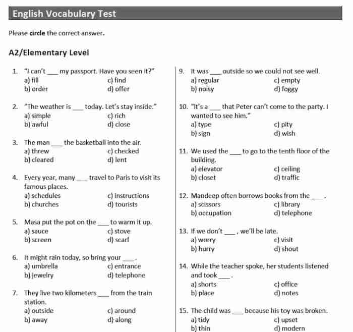 Slang review and quiz test: vocabulary and grammar 2.17